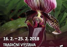 Výstava orchidejí, bromélií, sukulentů, jiných exotických rostlin a hmyzu